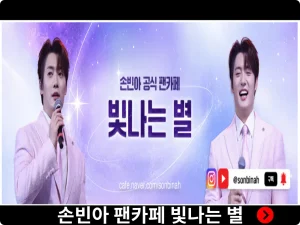 손빈아 팬카페