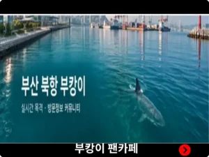 부캉이 팬카페 메인화면