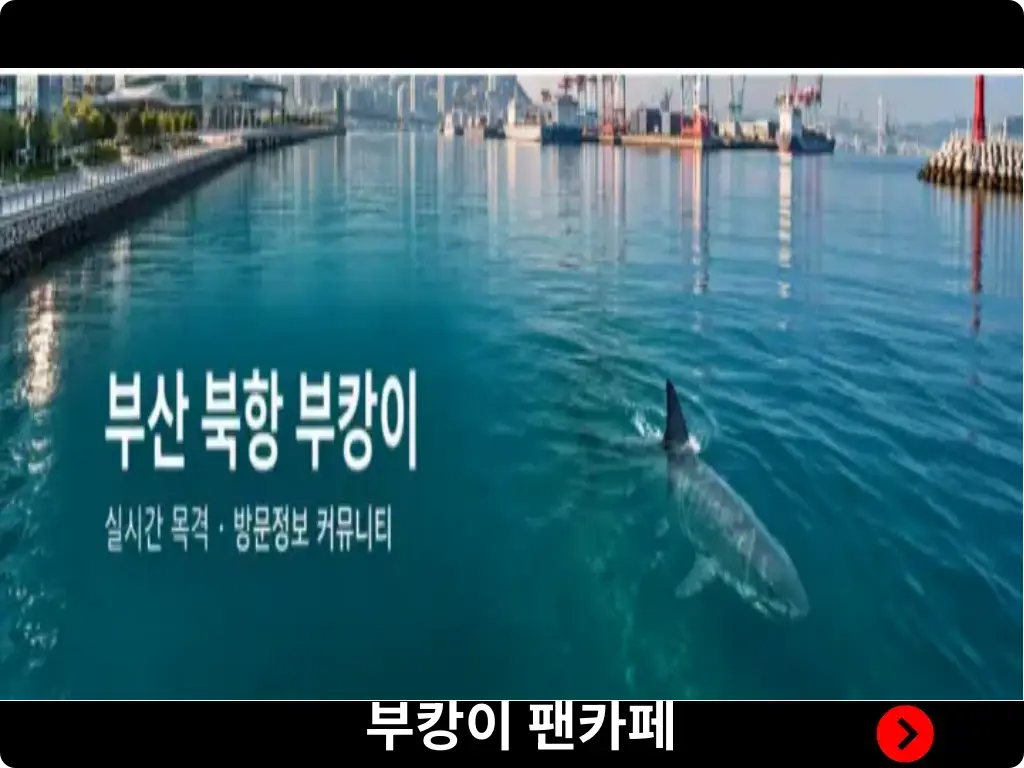 부캉이 팬카페 메인화면