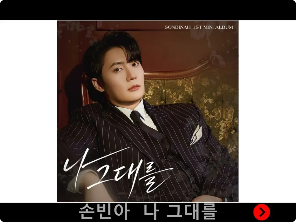 가수 손빈아 나 그대를 신곡 앨범 자켓 이미지 썸네일